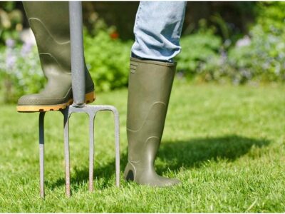 Want to Aerate Your Lawn
