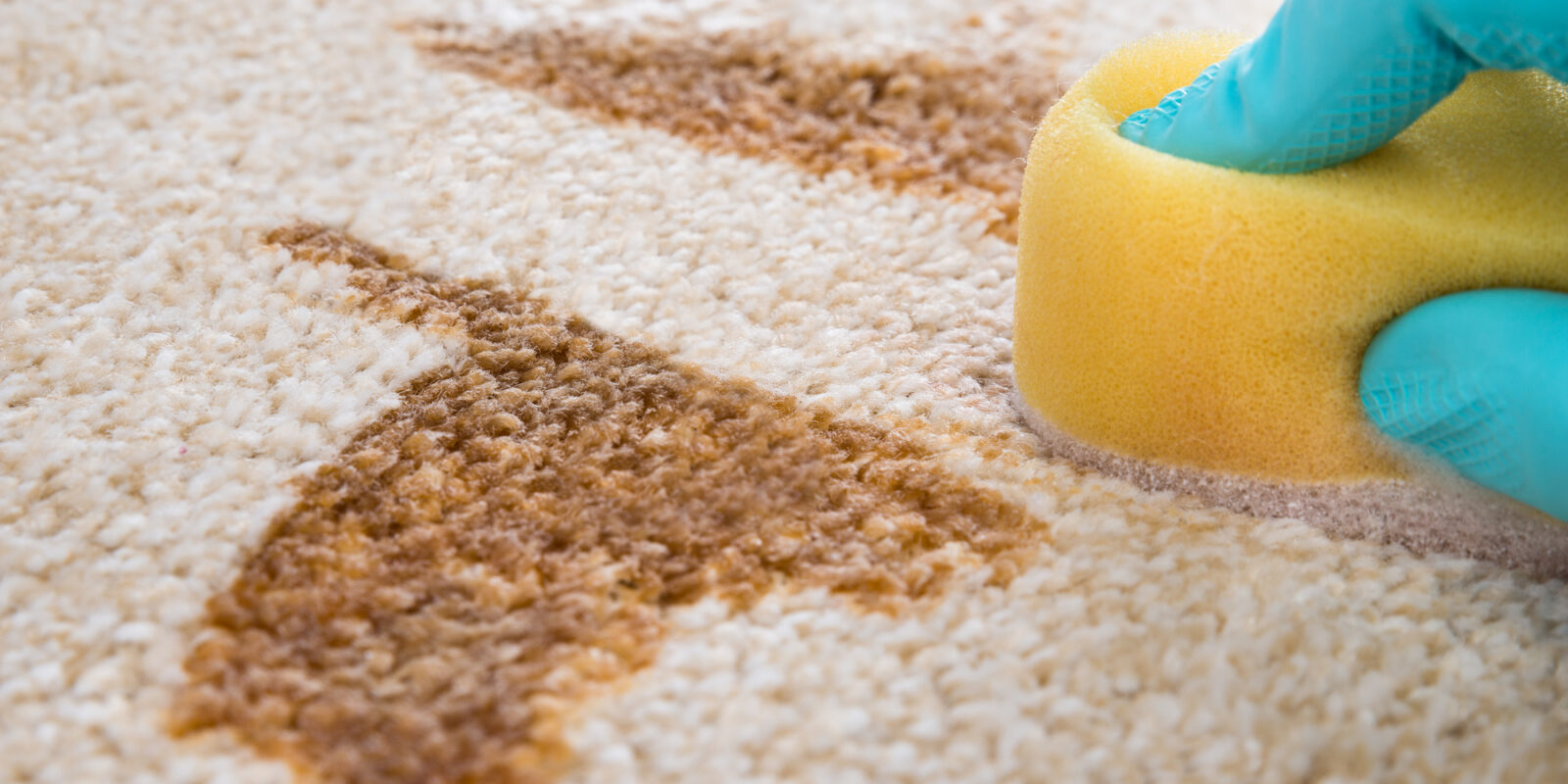 CARPET STAIN REMOVAL IMPORTANT TIPS TO KEEP IN MIND Hagan For House